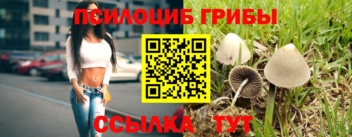 Псилоцибиновые грибы MAGIC MUSHROOMS  Вход с VPN  Можга 